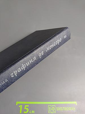 Графиня де Монсоро. Том 2