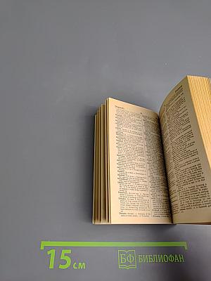 NEW Webster's POCKET PAL Dictionary