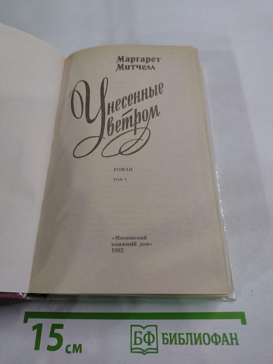 Унесенные ветром, Том I