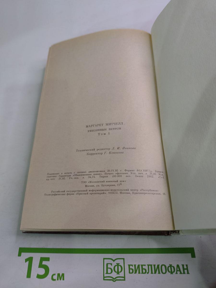 Унесенные ветром, Том I