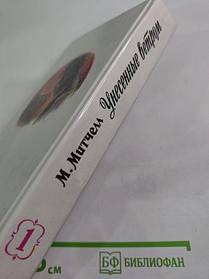 Унесенные ветром, Том I