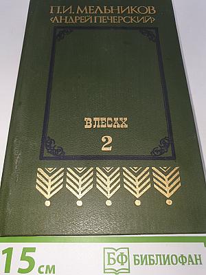 В лесах. Книга 2