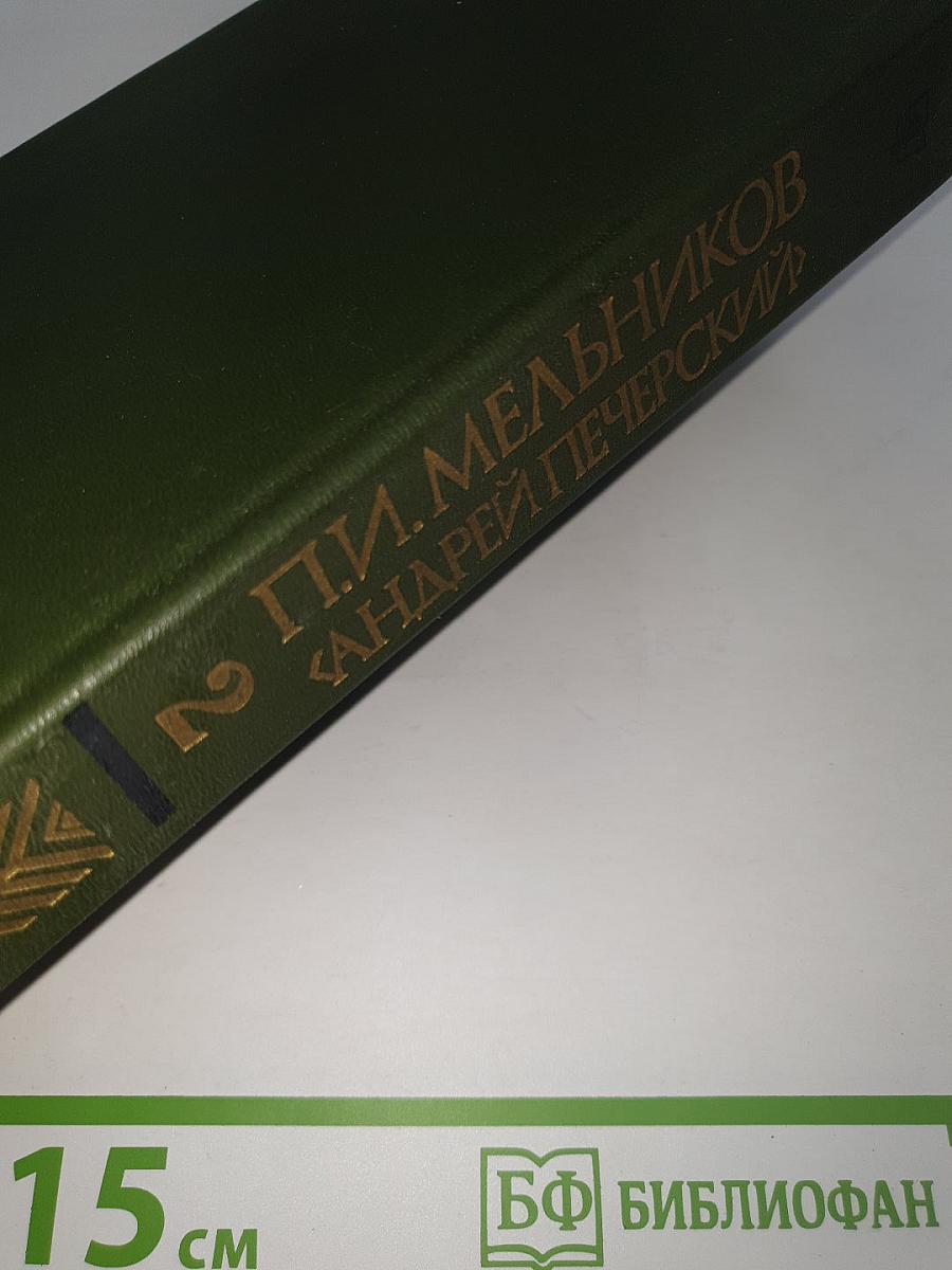 В лесах. Книга 2