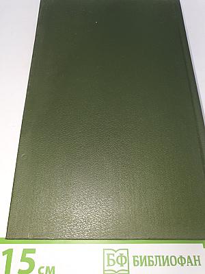 В лесах. Книга 2