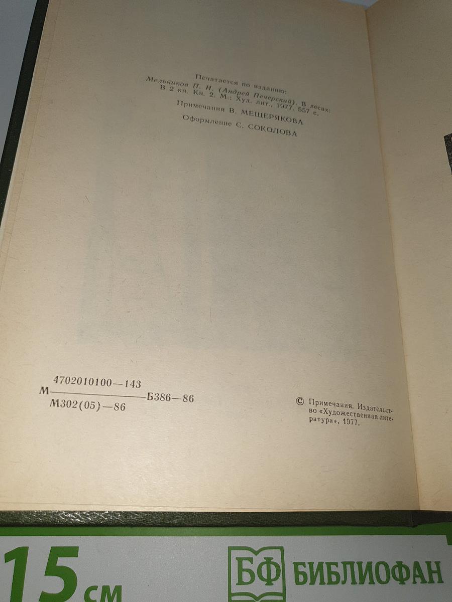 В лесах. Книга 2
