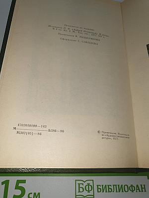 В лесах. Книга 2