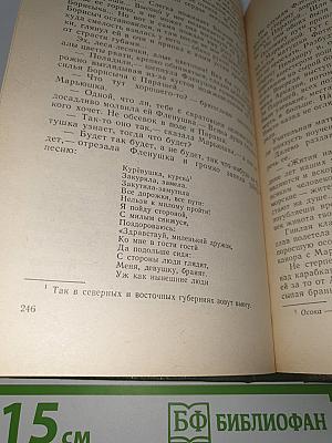В лесах. Книга 2