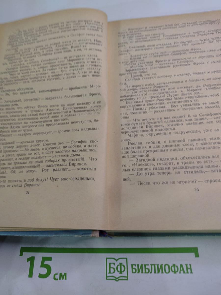 Горные орлы