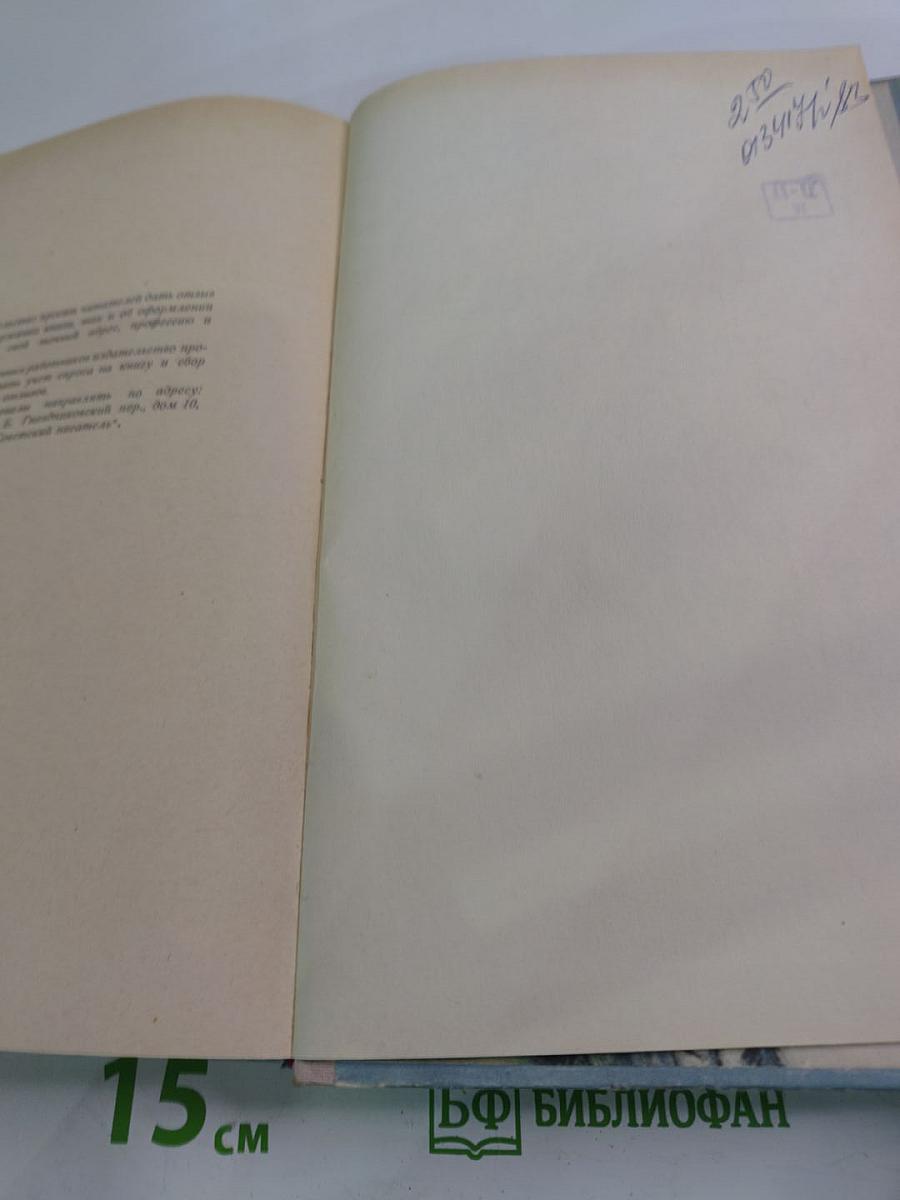 Горные орлы