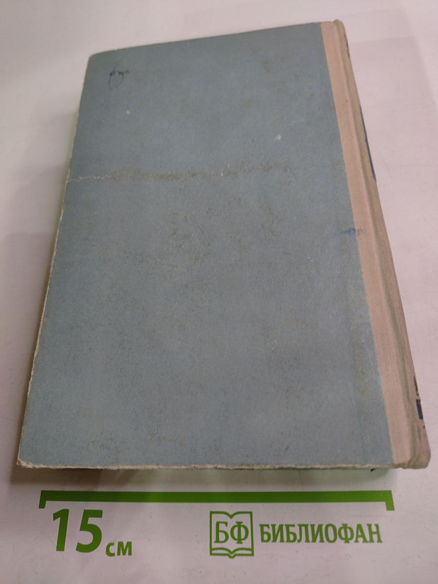 Горные орлы