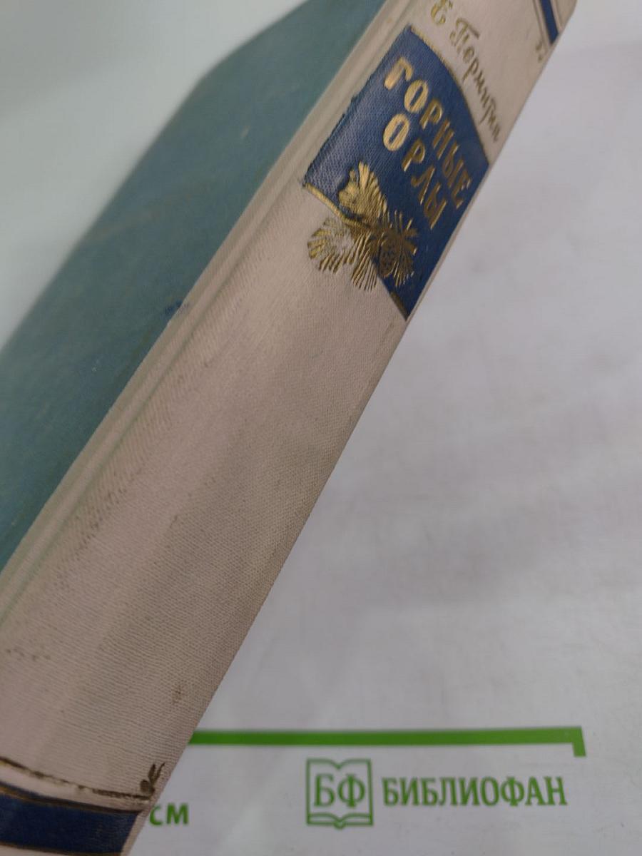 Горные орлы