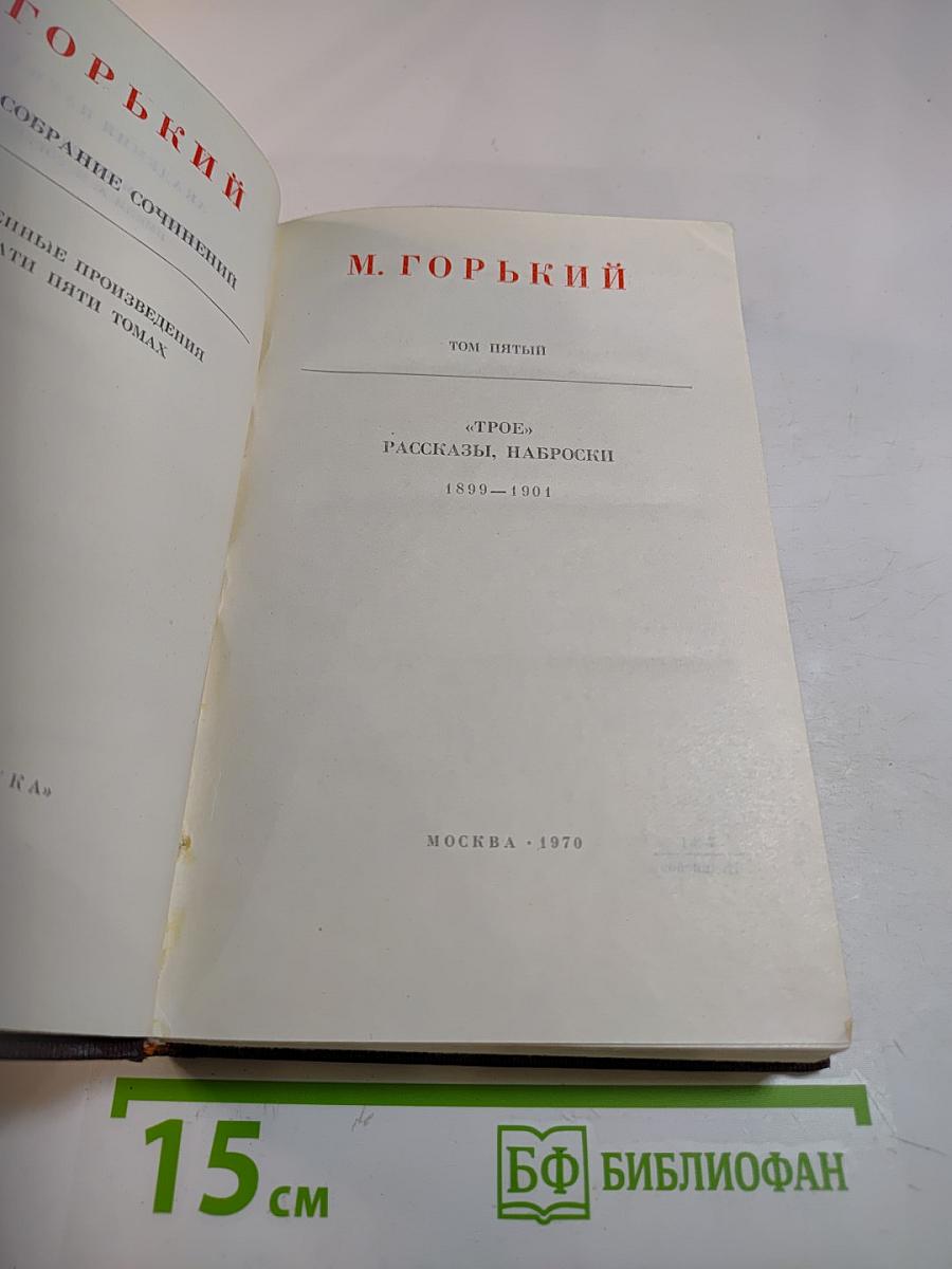 Собрание сочинений. Том пятый: Трое, Рассказы, Наброски