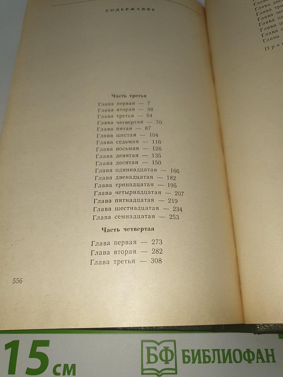 В лесах. Книга 2