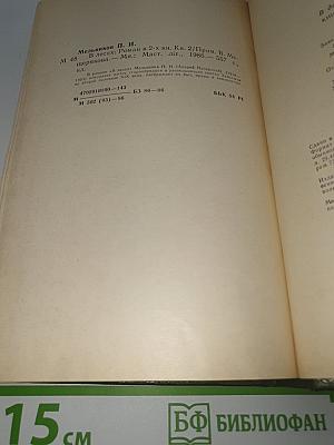 В лесах. Книга 2
