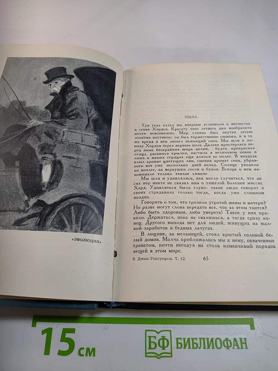 Собрание сочинений в шестнадцати томах. Том 12