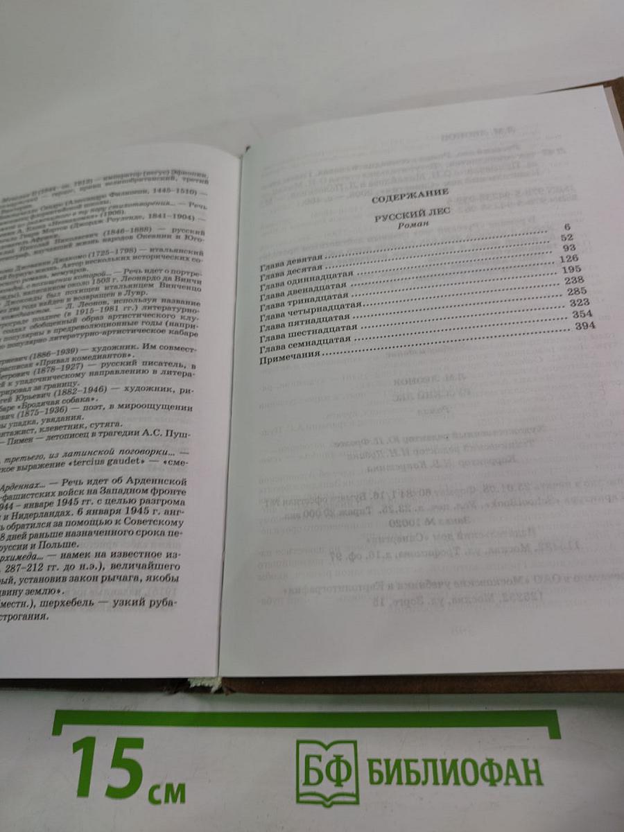 Русский лес. Главы девятая - семнадцатая