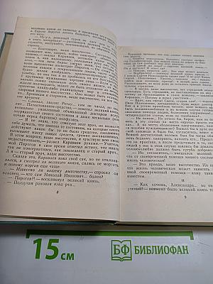 Тайный советник. Книга вторая