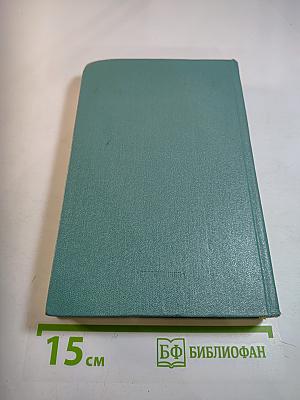 Тайный советник. Книга вторая