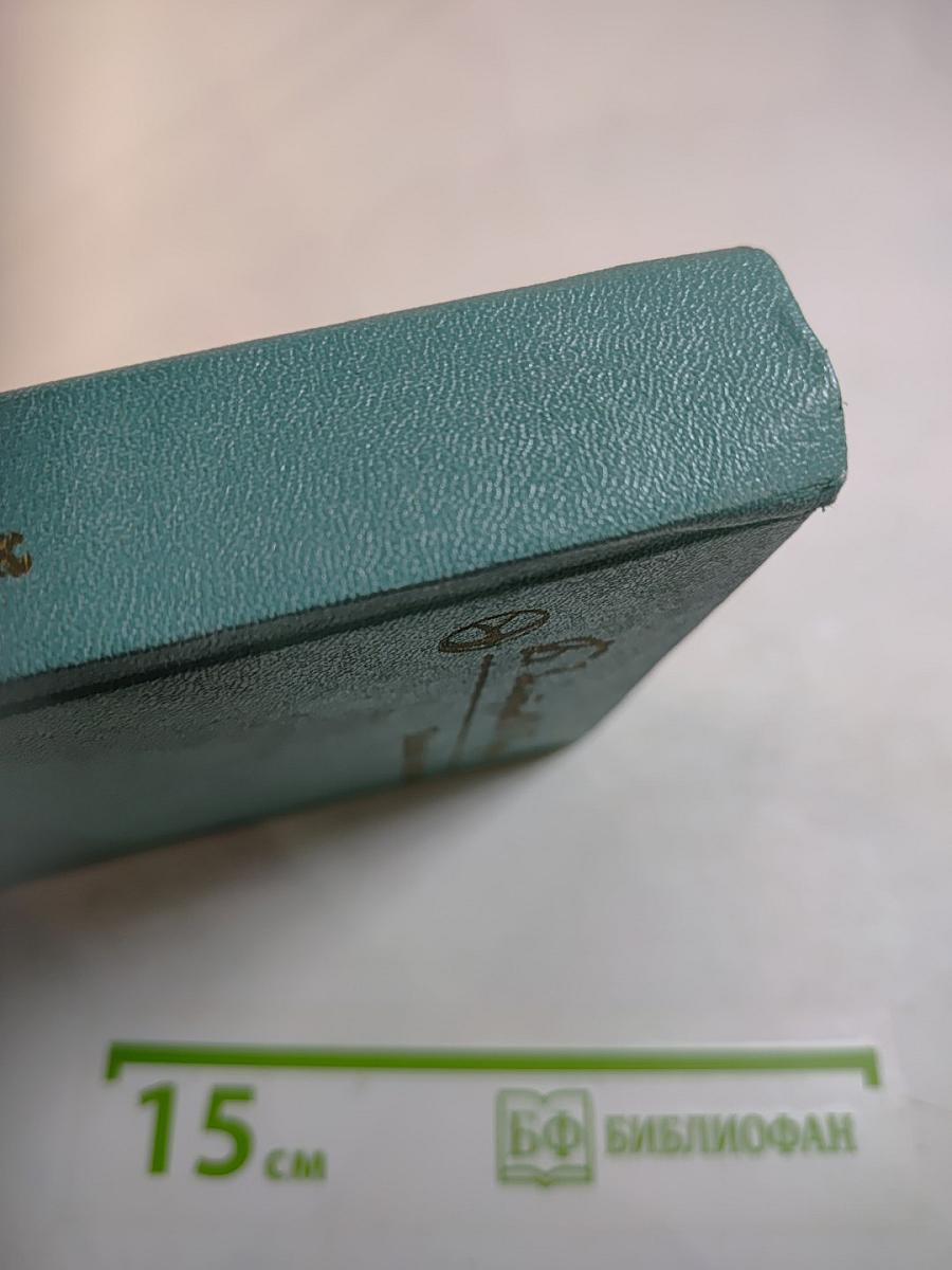 Тайный советник. Книга вторая