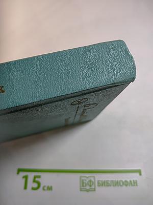 Тайный советник. Книга вторая