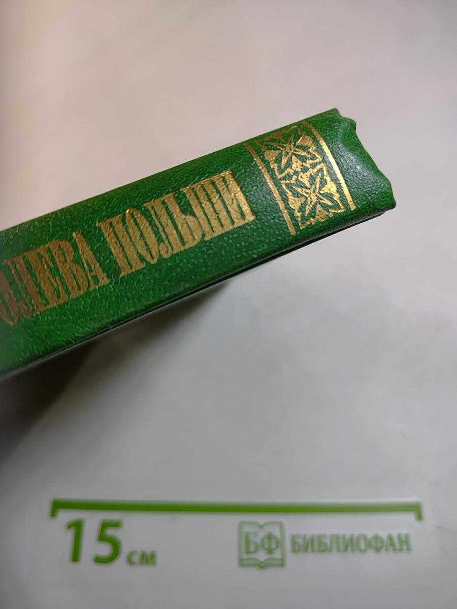 Марысенька Королева Польши