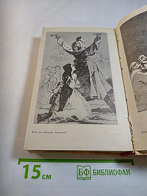 Гойя, или Тяжкий путь познания