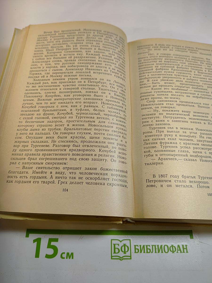 Повесть о братьях Тургеневых; Осуждение Паганини