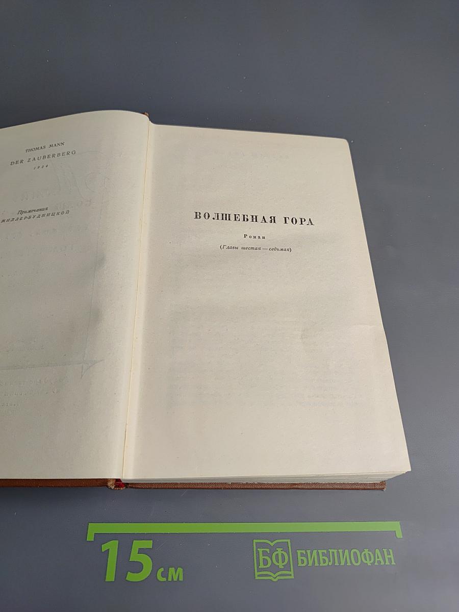 Волшебная гора. Том четвертый