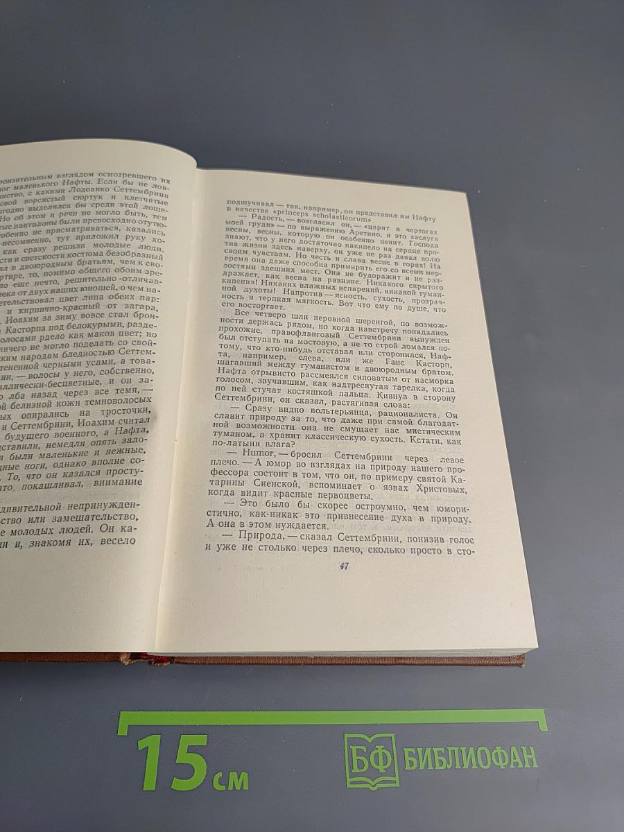 Волшебная гора. Том четвертый