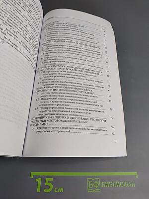 Экономические аспекты освоения месторождений