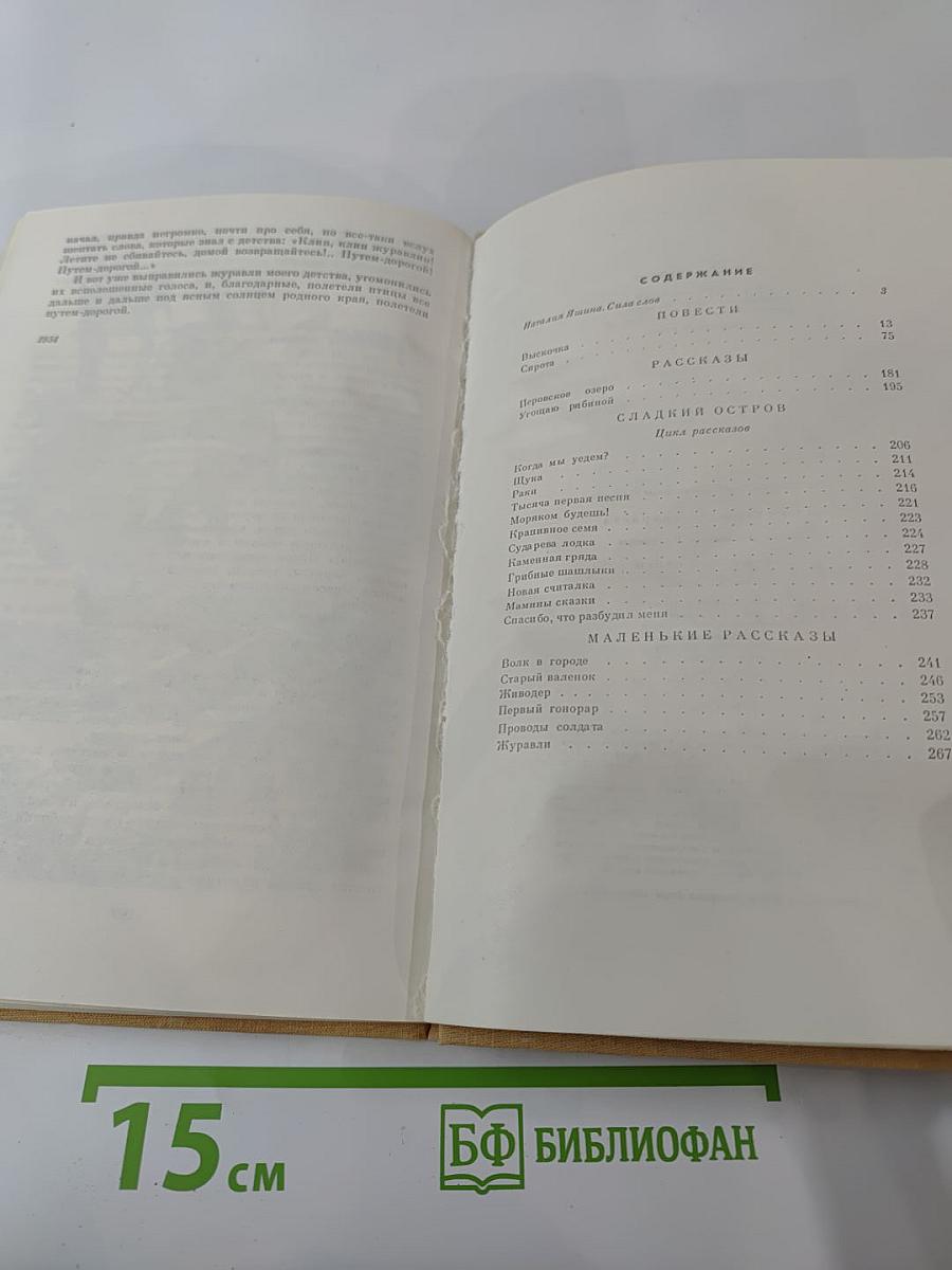 Перовское озеро. Повести и рассказы
