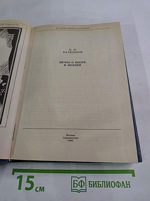 Нечто о поэте и поэзии