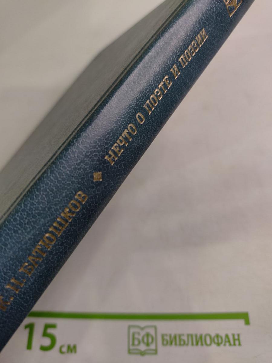 Нечто о поэте и поэзии