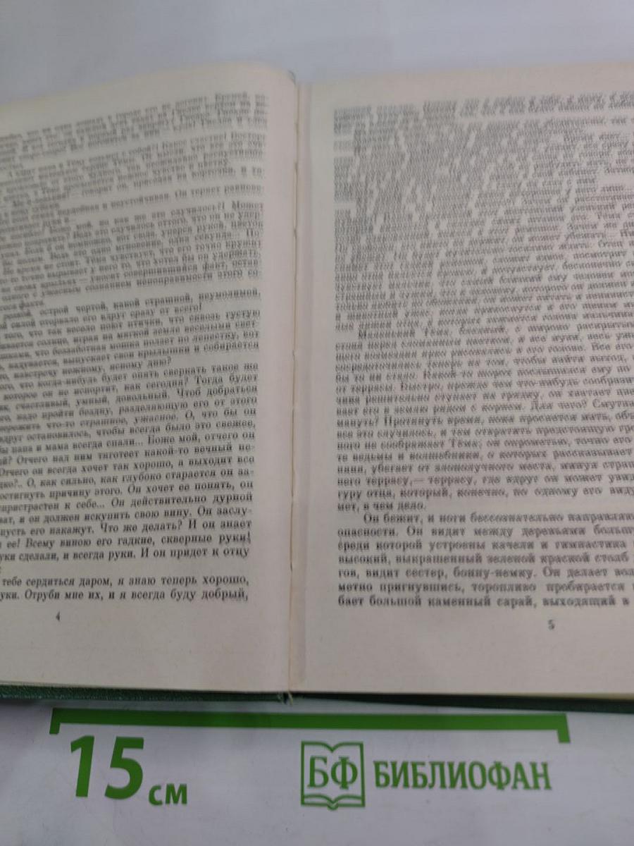 Детство Темы. Гимназисты.