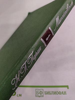 Детство Темы. Гимназисты.