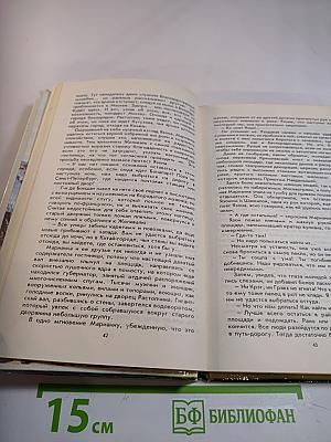 Марианна в огненном венке. Книга шестая