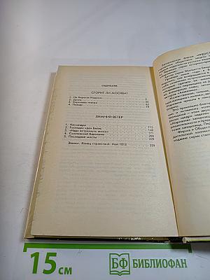 Марианна в огненном венке. Книга шестая