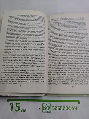 Марианна. В огненном венке. Книга пятая