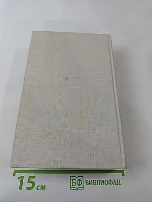 Пора надежд. Возвращение домой