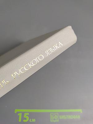 Орфографический словарь русского языка