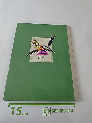 Мне сороки рассказали