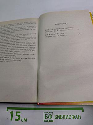 Мишель-мушкетер