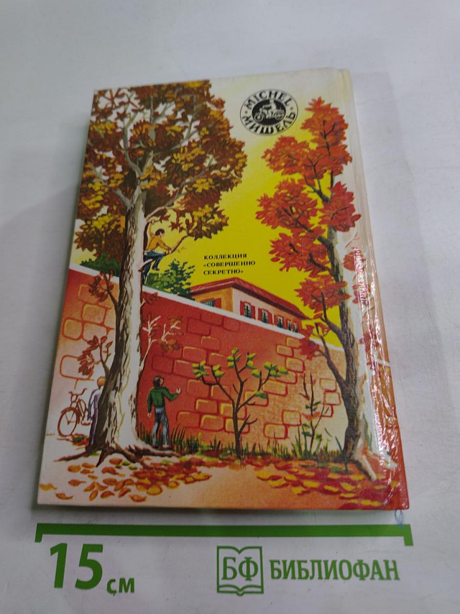 Мишель-мушкетер