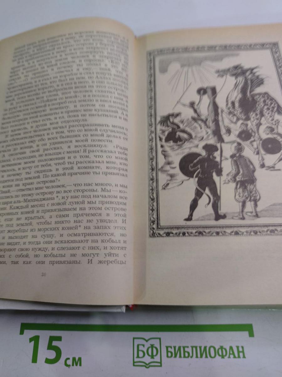 Синдбад-мореход. Избранные сказки, рассказы и повести из "Тысячи и одной ночи"