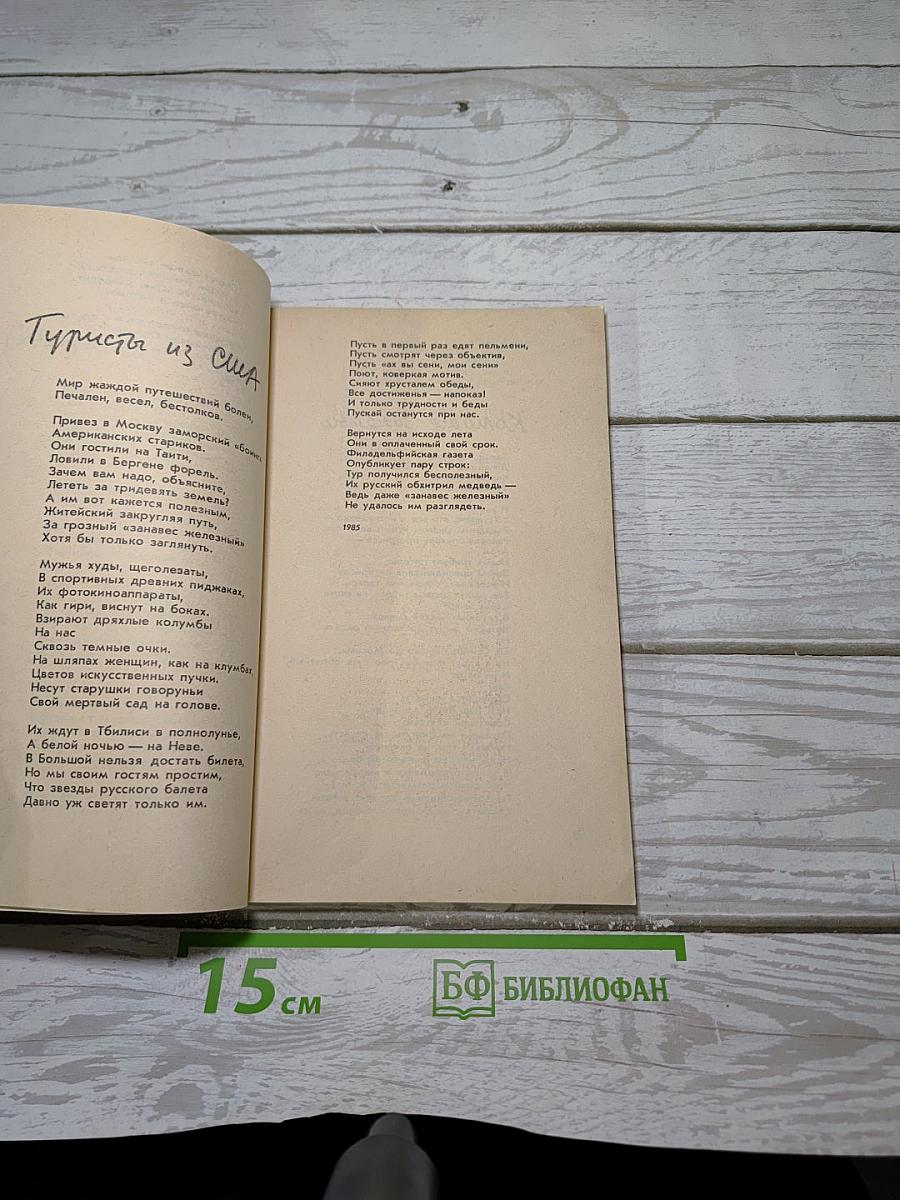 Стихи из дневника