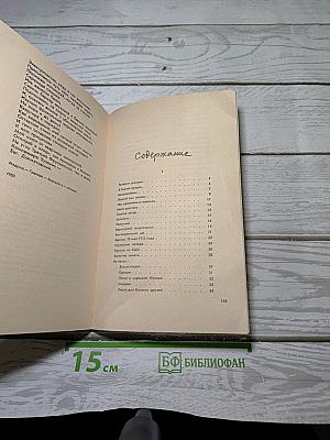 Стихи из дневника