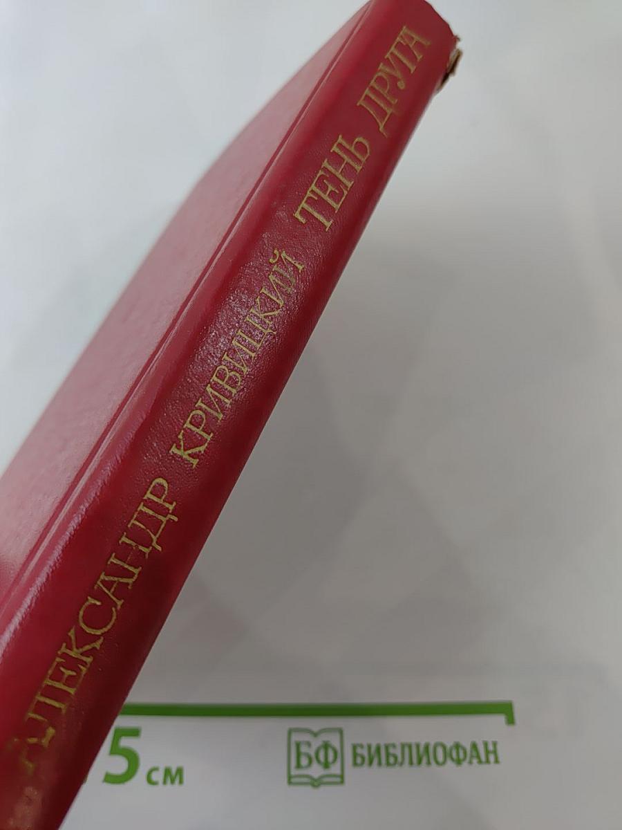 Тень друга. Машина времени