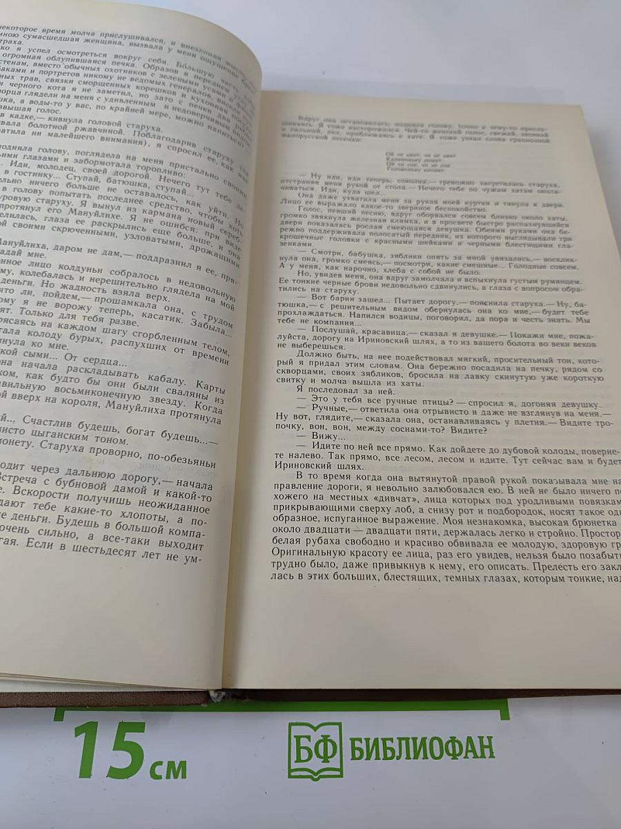 Сочинения в двух томах. Том 1: Повести. Рассказы