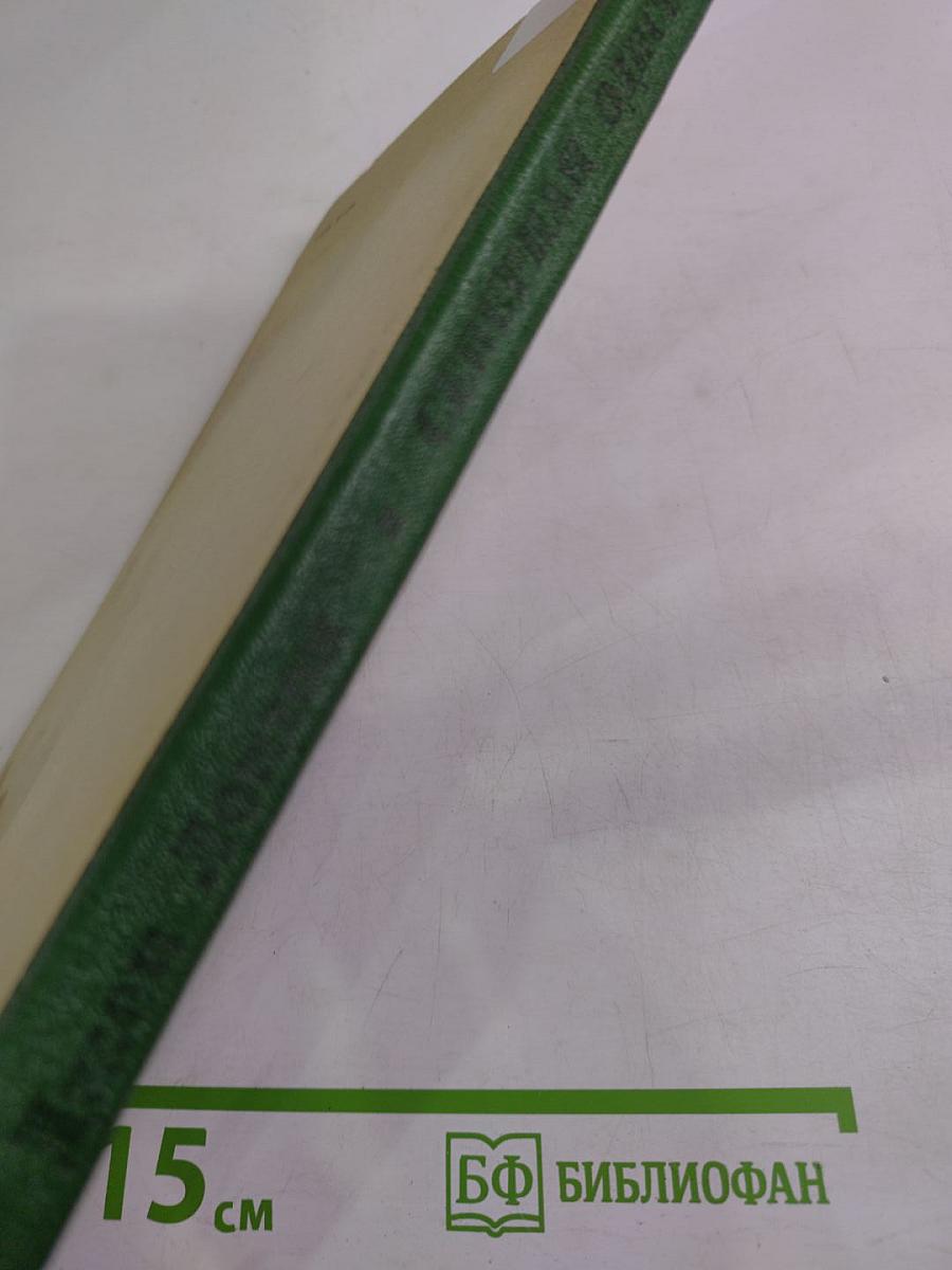 Северная Одиссея. Повесть и рассказы