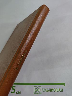 Пушкин и Военная галерея Зимнего дворца